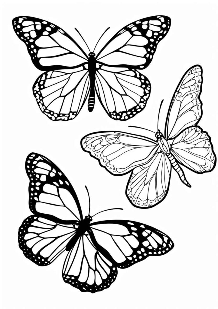 Multiple monarch butterflies in various poses, showcasing their distinctive wing patterns, ideal for a coloring page.